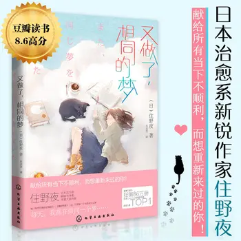 Eu Tinha O Mesmo Sonho Novamente Sumino Noite De Cura Romances Memórias De Casas De Penhores Alunos Estilo De Hayao Miyazaki Livres Kitaplar